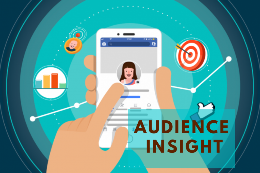 Gain audience insight - how to find your target audience